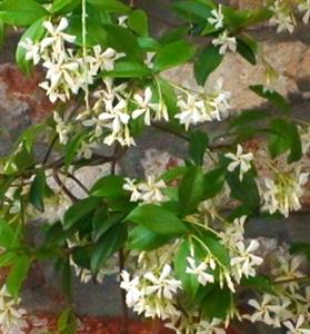 Photo 772841